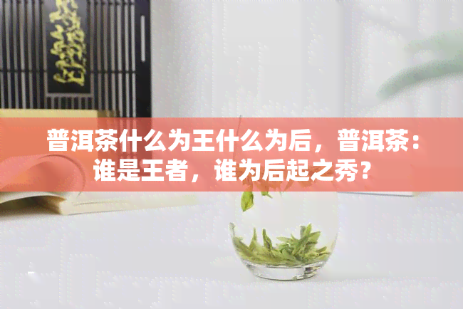 普洱茶什么为王什么为后，普洱茶：谁是王者，谁为后起之秀？