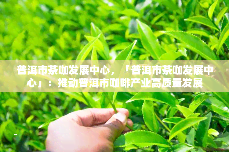 普洱市茶咖发展中心，「普洱市茶咖发展中心」：推动普洱市咖啡产业高质量发展