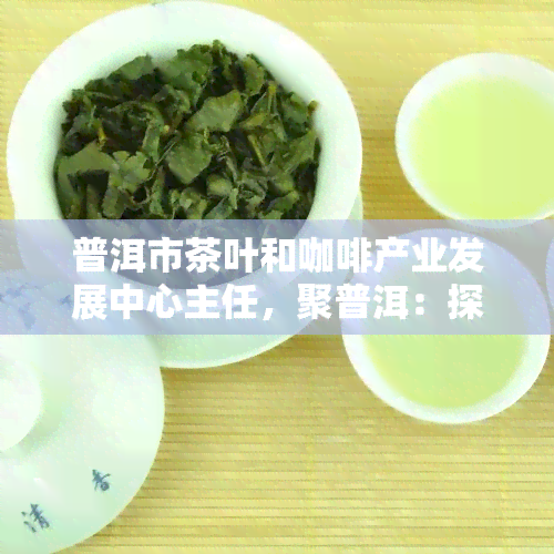 普洱市茶叶和咖啡产业发展中心主任，聚普洱：探索茶叶与咖啡的完美融合，普洱市茶叶和咖啡产业发展中心主任分享经验