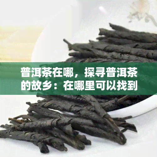 普洱茶在哪，探寻普洱茶的故乡：在哪里可以找到更优质的普洱茶？