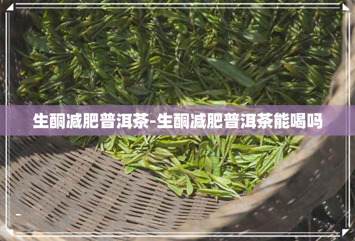 生酮减肥普洱茶-生酮减肥普洱茶能喝吗