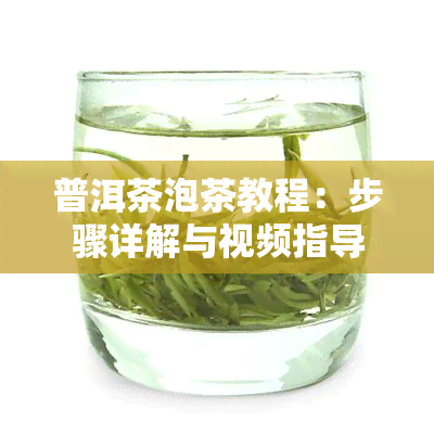 普洱茶泡茶教程：步骤详解与视频指导