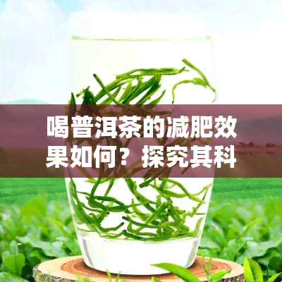 喝普洱茶的减肥效果如何？探究其科学性与实用性