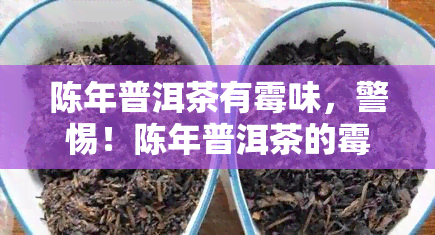 陈年普洱茶有霉味，警惕！陈年普洱茶的霉味可能对健产生影响