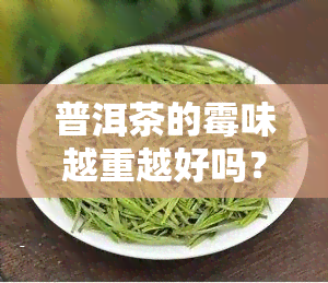 普洱茶的霉味越重越好吗？原因解析