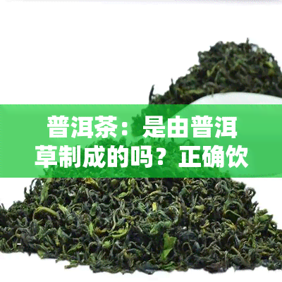 普洱茶：是由普洱草制成的吗？正确饮用方法是什么？