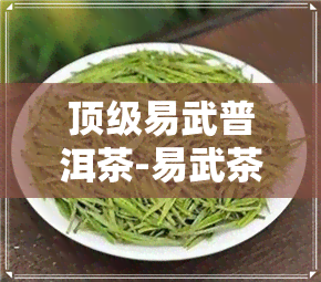 顶级易武普洱茶-易武茶普洱茶