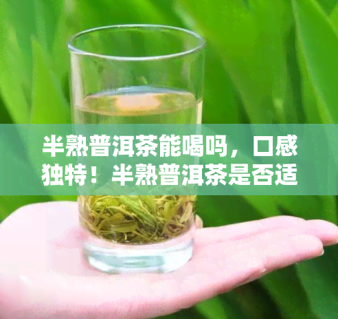 半熟普洱茶能喝吗，口感独特！半熟普洱茶是否适合饮用？