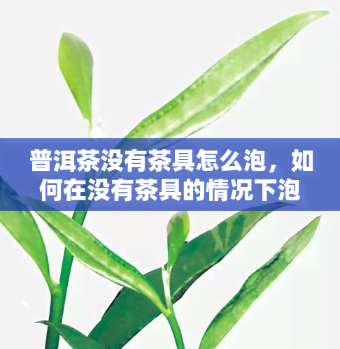 普洱茶没有茶具怎么泡，如何在没有茶具的情况下泡好普洱茶？