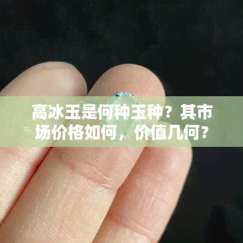 高冰玉是何种玉种？其市场价格如何，价值几何？