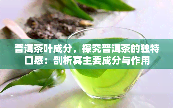 普洱茶叶成分，探究普洱茶的独特口感：剖析其主要成分与作用