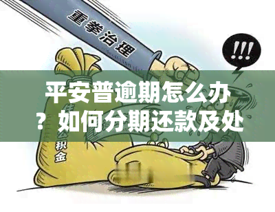 平安普逾期怎么办？如何分期还款及处理未能按时还款的情况？