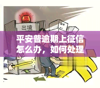 平安普逾期上怎么办，如何处理平安普逾期上问题？