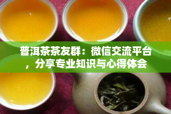 普洱茶茶友群：微信交流平台，分享专业知识与心得体会