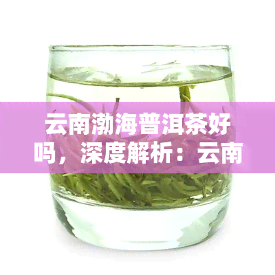 云南渤海普洱茶好吗，深度解析：云南渤海普洱茶的品质与口感如何？