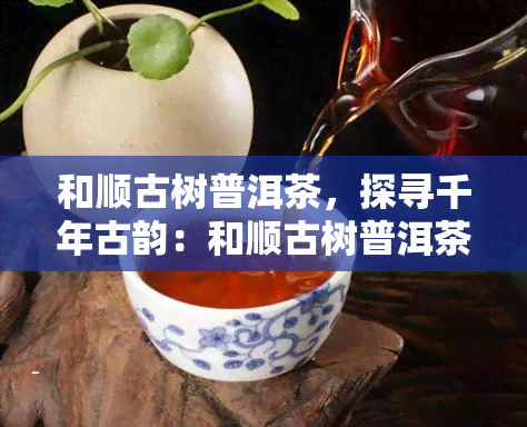 和顺古树普洱茶，探寻千年古韵：和顺古树普洱茶的魅力与故事