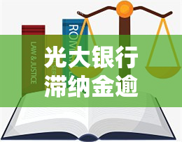 光大银行滞纳金逾期怎么办，如何处理光大银行滞纳金逾期问题？