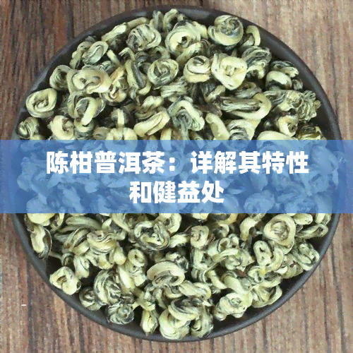 陈柑普洱茶：详解其特性和健益处