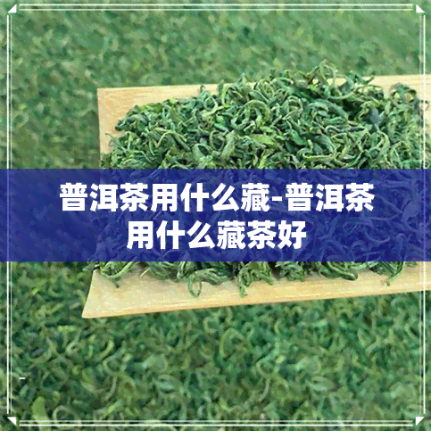 普洱茶用什么藏-普洱茶用什么藏茶好