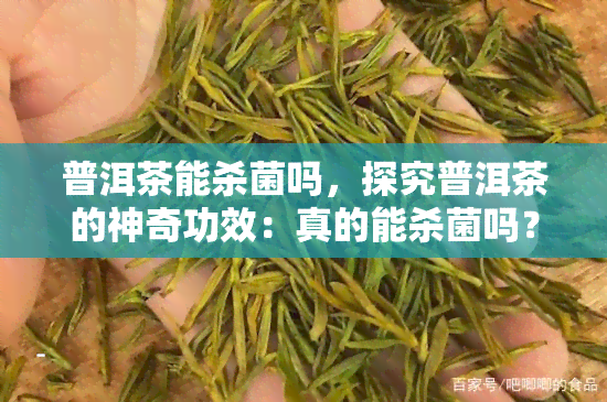 普洱茶能杀菌吗，探究普洱茶的神奇功效：真的能杀菌吗？