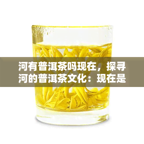 河有普洱茶吗现在，探寻河的普洱茶文化：现在是否仍有种植？