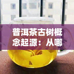 普洱茶古树概念起源：从哪年开始？