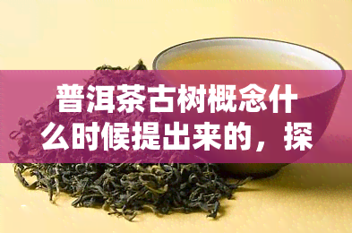 普洱茶古树概念什么时候提出来的，探秘普洱茶古树概念的起源与演变