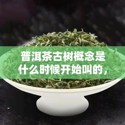 普洱茶古树概念是什么时候开始叫的，探究普洱茶古树概念的起源与演变