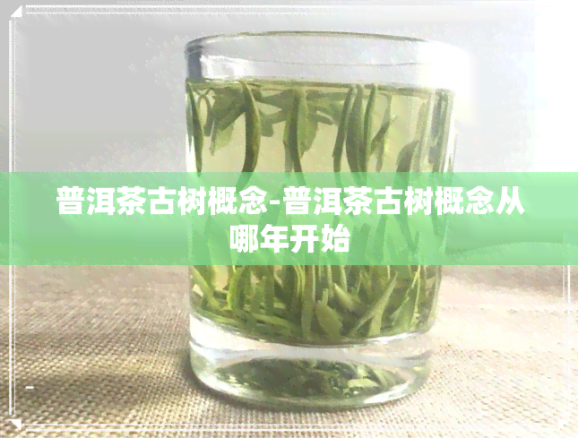 普洱茶古树概念-普洱茶古树概念从哪年开始