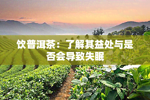 饮普洱茶：了解其益处与是否会导致失眠