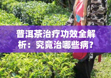 普洱茶治疗功效全解析：究竟治哪些病？