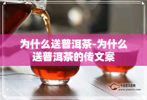 为什么送普洱茶-为什么送普洱茶的传文案