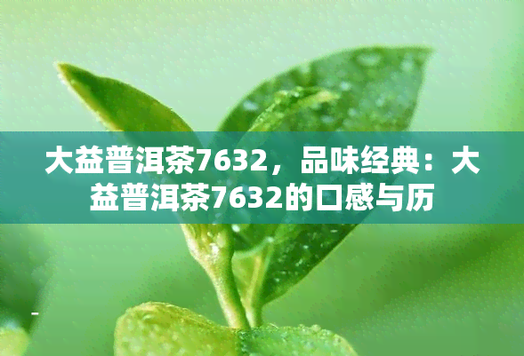 大益普洱茶7632，品味经典：大益普洱茶7632的口感与历