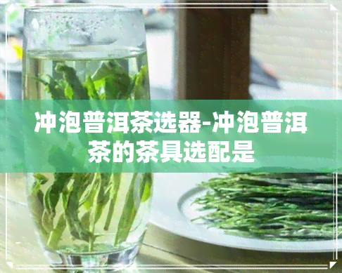 冲泡普洱茶选器-冲泡普洱茶的茶具选配是