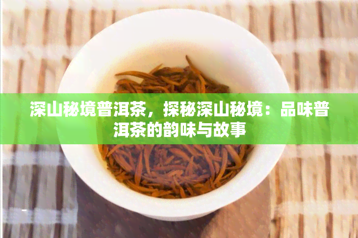 深山秘境普洱茶，探秘深山秘境：品味普洱茶的韵味与故事