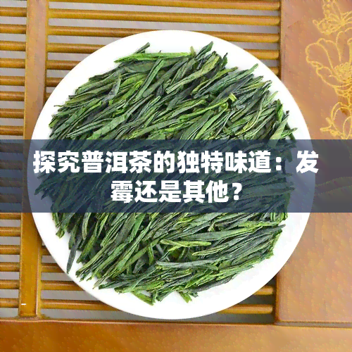 探究普洱茶的独特味道：发霉还是其他？