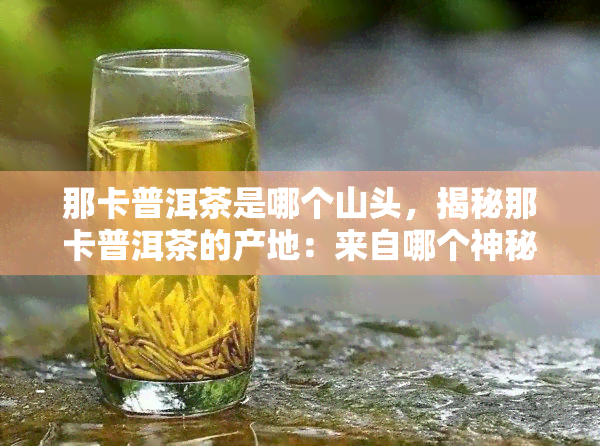 那卡普洱茶是哪个山头，揭秘那卡普洱茶的产地：来自哪个神秘山头？