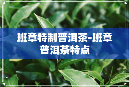 班章特制普洱茶-班章普洱茶特点