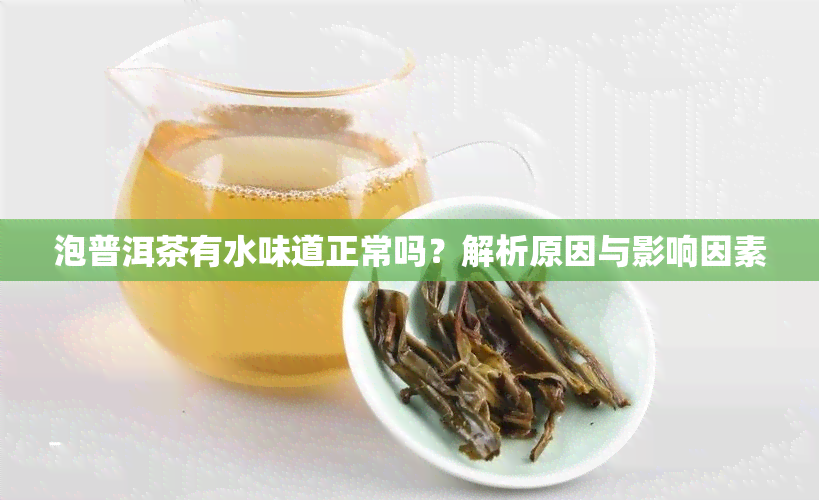 泡普洱茶有水味道正常吗？解析原因与影响因素