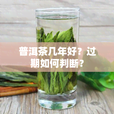 普洱茶几年好？过期如何判断？