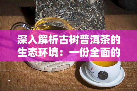 深入解析古树普洱茶的生态环境：一份全面的分析报告