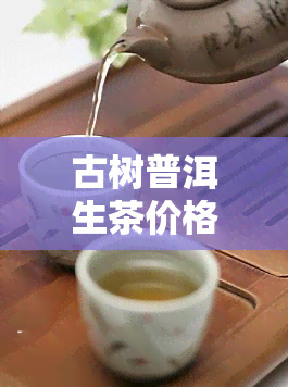 古树普洱生茶价格，探寻古树普洱生茶的价格之旅