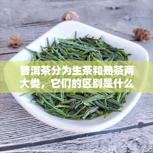 普洱茶分为生茶和熟茶两大类，它们的区别是什么？