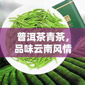 普洱茶青茶，品味云南风情：探索普洱茶与青茶的世界