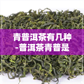 青普洱茶有几种-普洱茶青普是什么意思