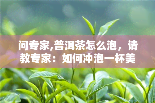 问专家,普洱茶怎么泡，请教专家：如何冲泡一杯美味的普洱茶？