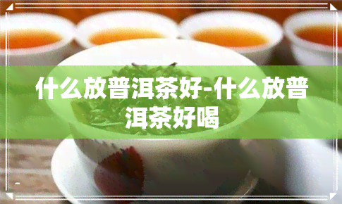 什么放普洱茶好-什么放普洱茶好喝