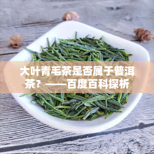 大叶青毛茶是否属于普洱茶？——百度百科探析