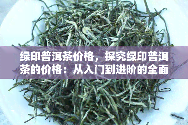 绿印普洱茶价格，探究绿印普洱茶的价格：从入门到进阶的全面指南