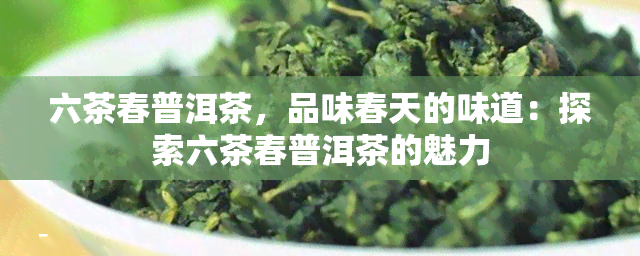 六茶春普洱茶，品味春天的味道：探索六茶春普洱茶的魅力